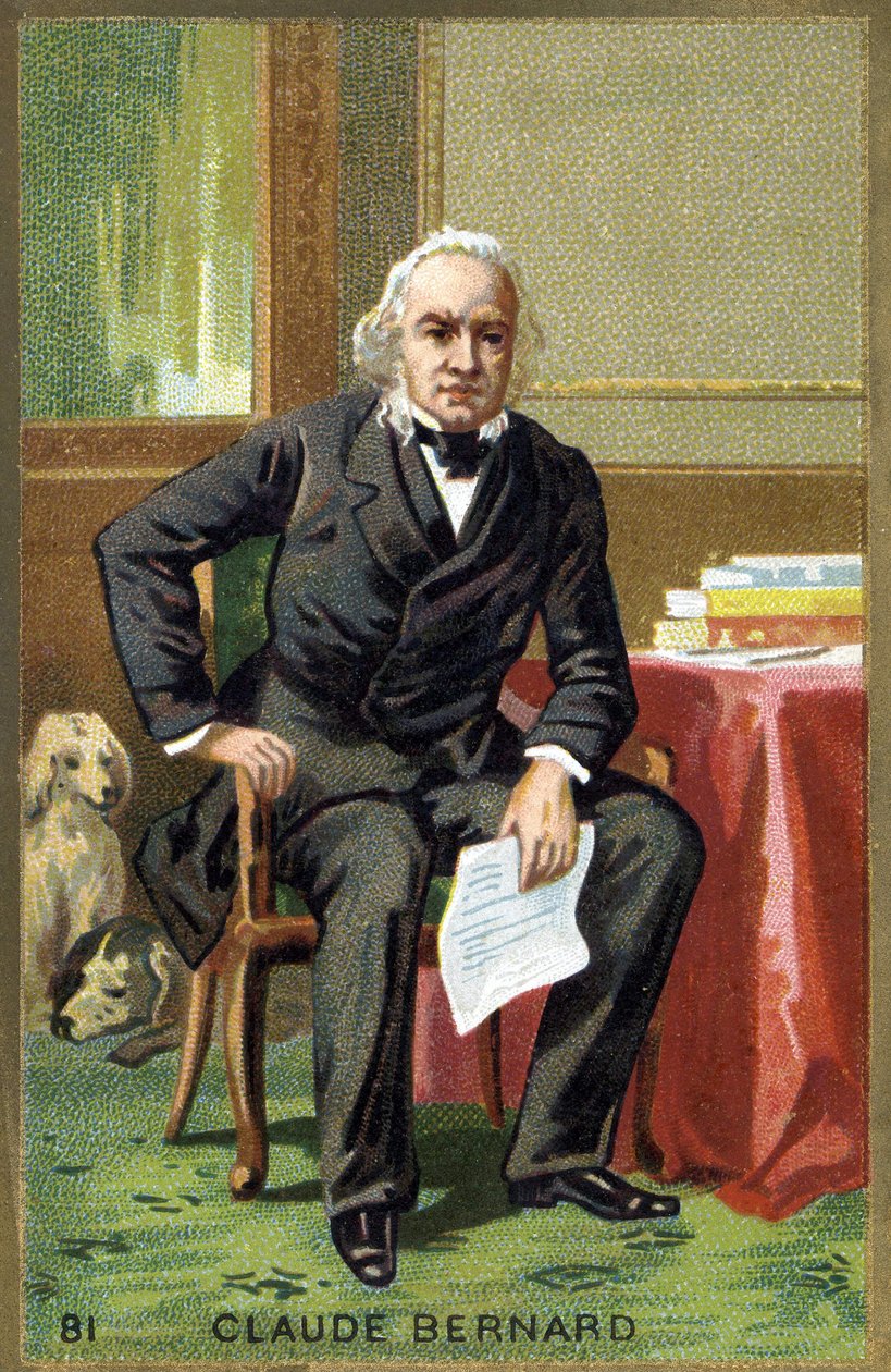 Portrét Clauda Bernarda (1813 - 1878), francouzského fyziologa. Chromolitografie 19. století. od Unknown artist