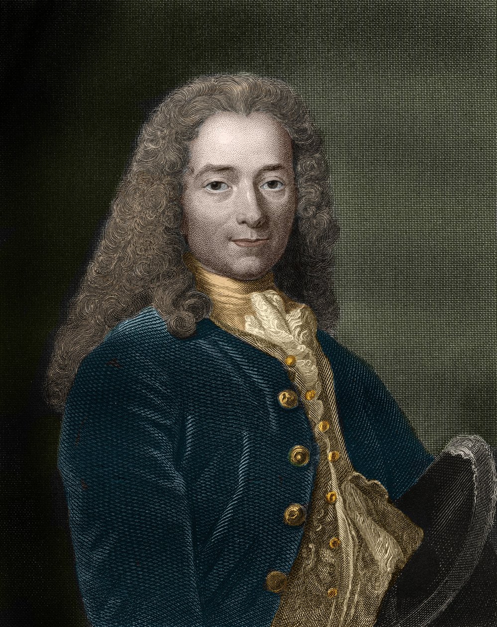 Portrét Francois-Marie Aroueta, dit Voltaire (1694 - 1778), francouzského spisovatele a filozofa. od Unknown artist