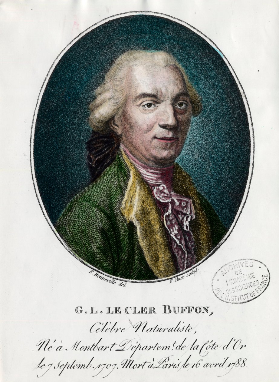 Portrét George Louis Le Clerc, hrabě z Buffonu od Unknown artist