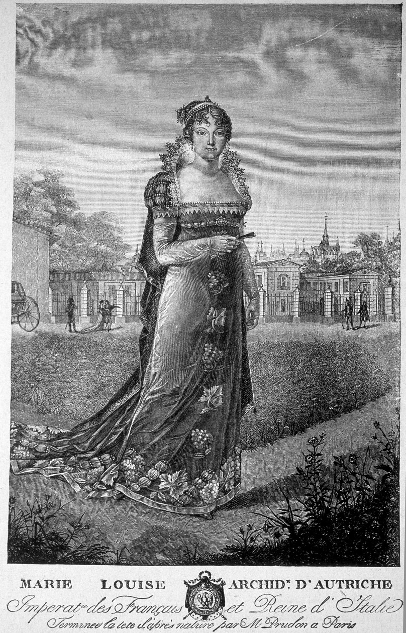 Portrét Marie Louise, arcivévodkyně rakouské, manželky Napoleona I. od Unknown artist