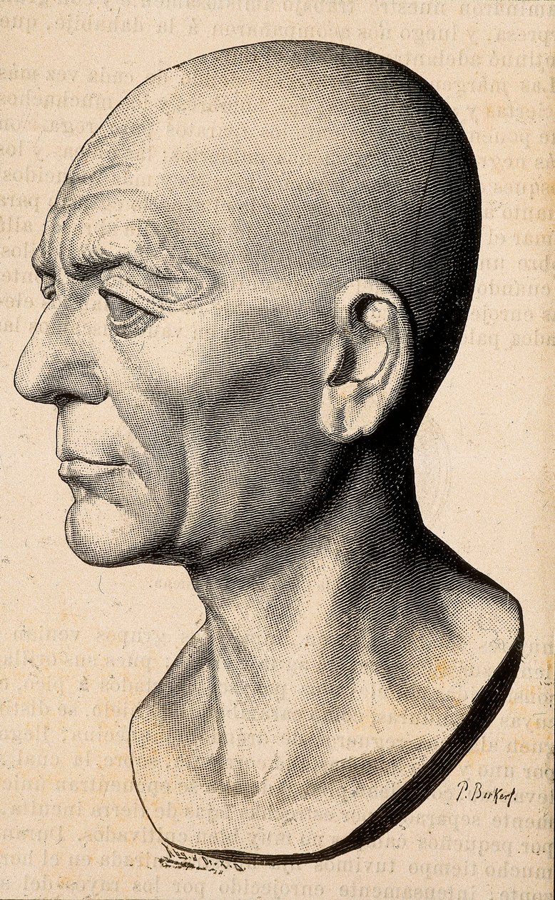 Portrét Publia Cornelia Scipia (Afričana Scipia) Africana, římského státníka (235-183 př. Kr.). od Unknown artist