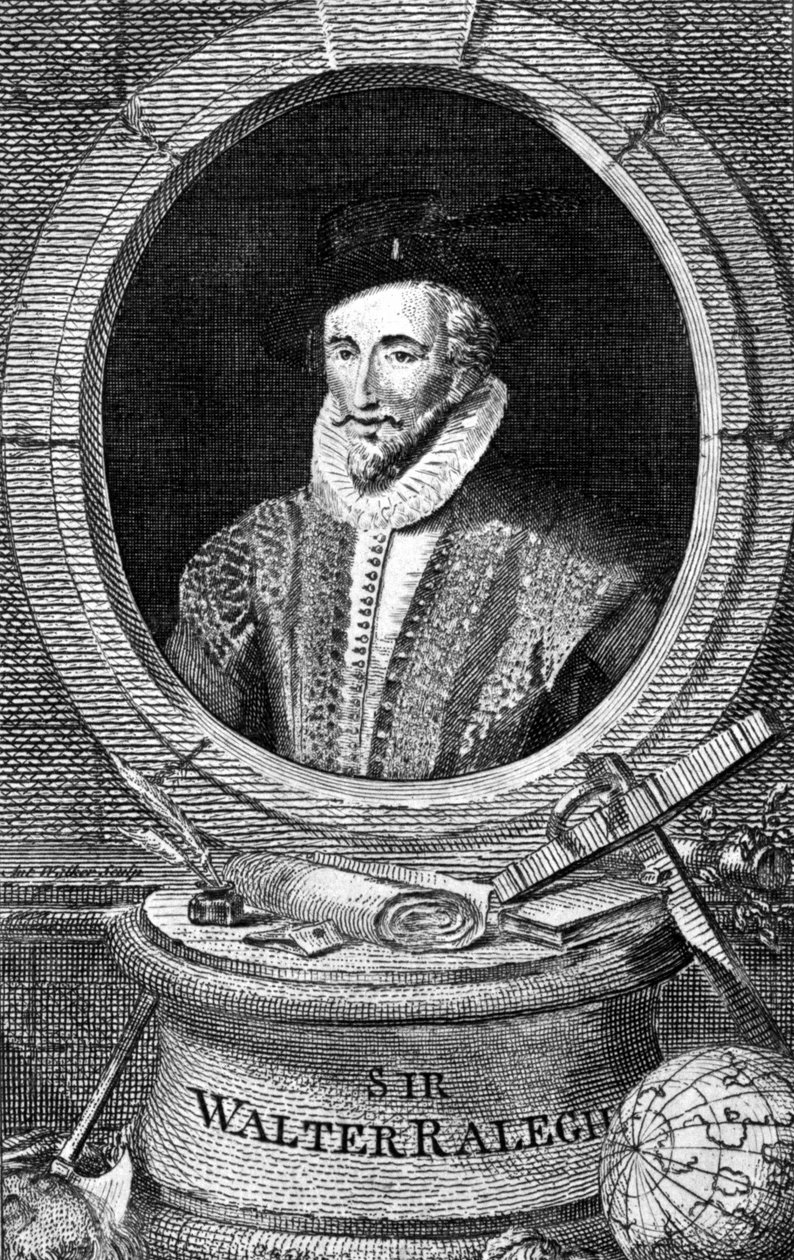Portrét sira Waltera Raleigha (1554 - 1618), anglického dvořanského mořeplavce a spisovatele. Rytina 18. století. od Unknown artist