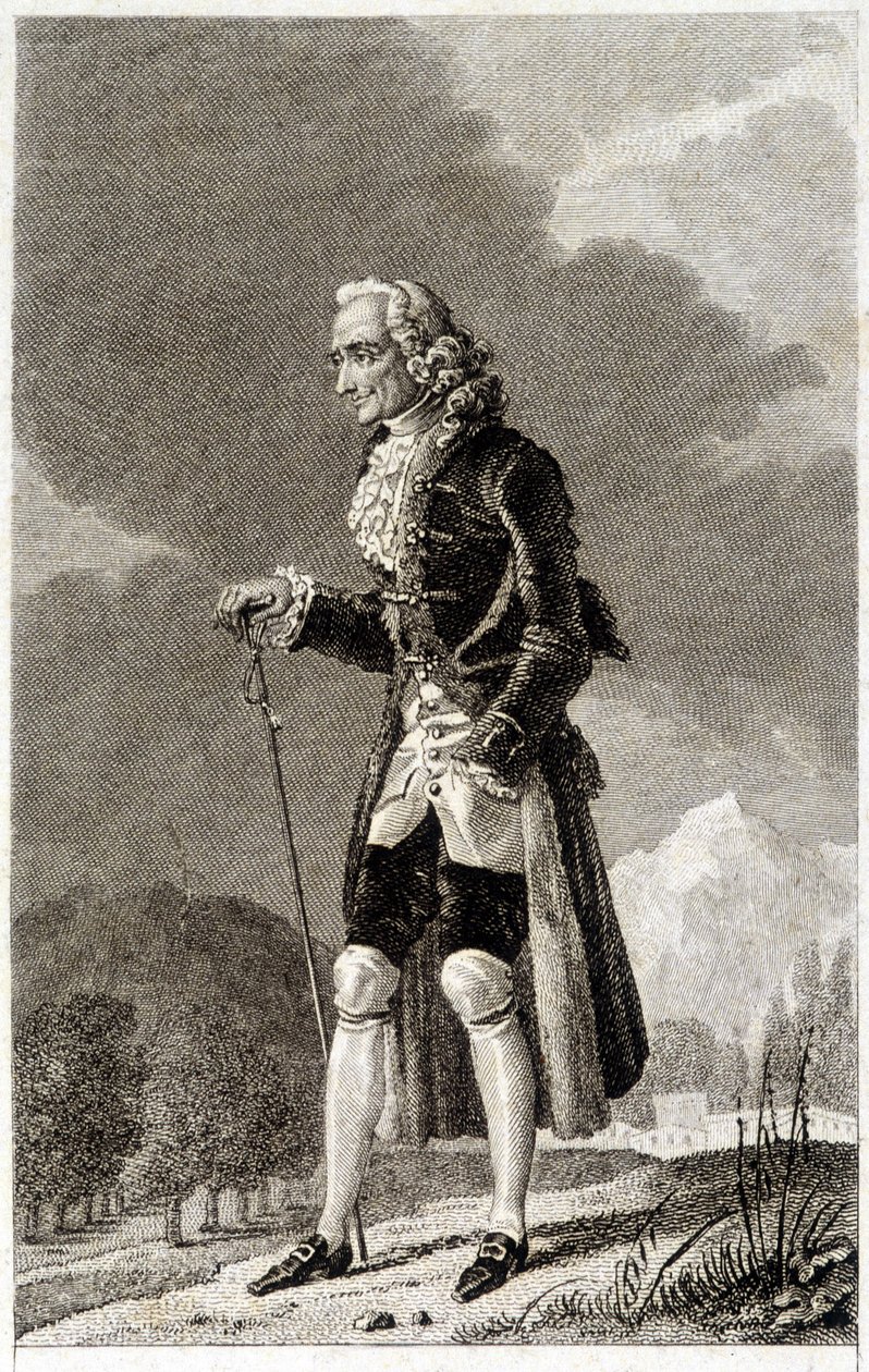 Portrét Voltaira (1694 - 1778), francouzského spisovatele a filozofa, staršího věku. od Unknown artist