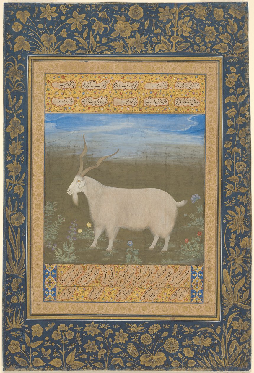 Portrét ladackého horského kozla od Unknown artist