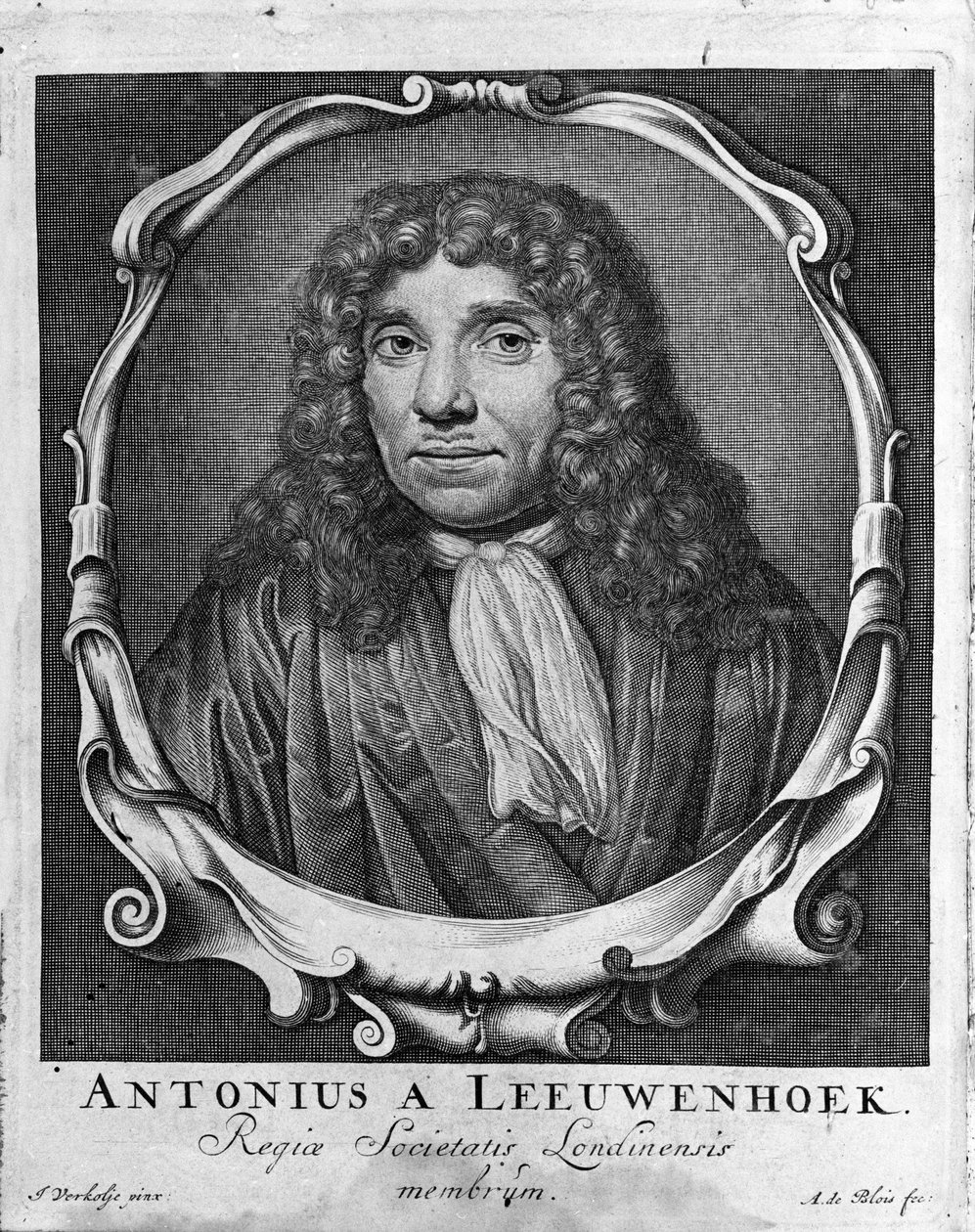 Portrét nizozemského obchodníka a učence Antoine van Leeuwenhoek (nebo Leeuvenhoek Leeuwenhoeck) (nebo Antoni nebo Anthonie) (1632-1723) Rytina z „Investigatio Arcanorum“ 1722. od Unknown artist