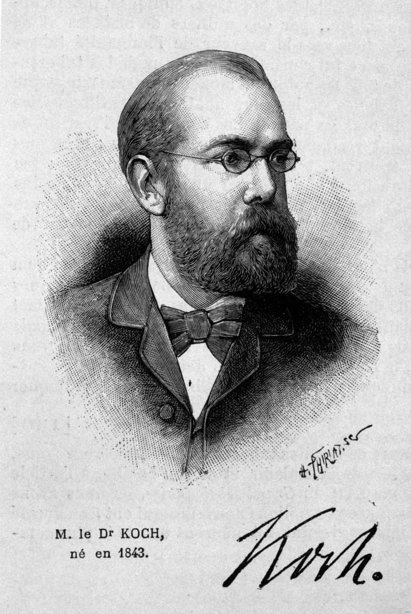 Portrét německého lékaře Roberta Kocha (1843-1910). od Unknown artist