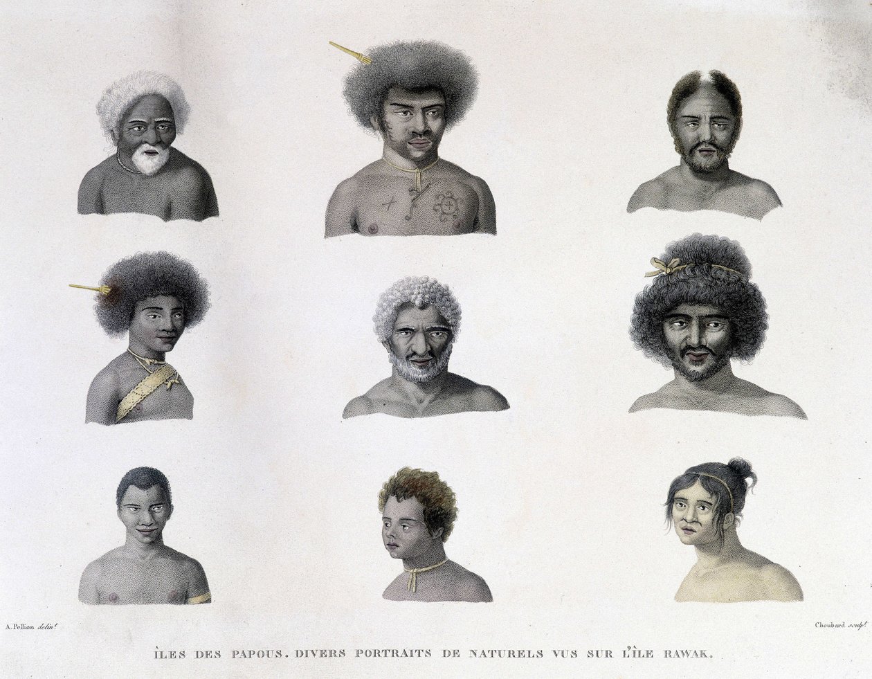 Portréty Papuy z ostrova Rawak. od Unknown artist