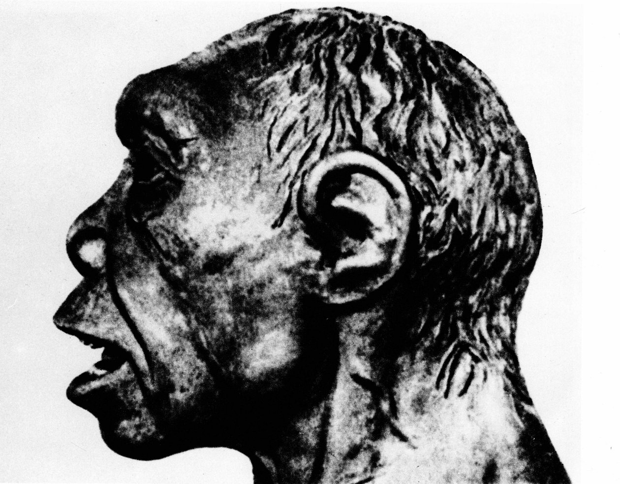 Prehistorie: Reenactment muže z Broken Hill (obličej z profilu), podle Schultze. od Unknown artist
