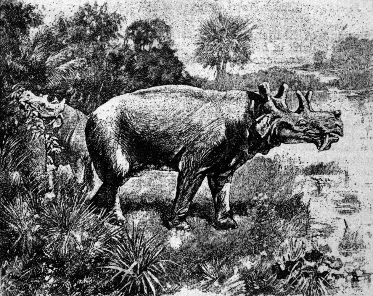 Pravěk: zobrazení čtyřrohého dinosaura Uintatherium. od Unknown artist