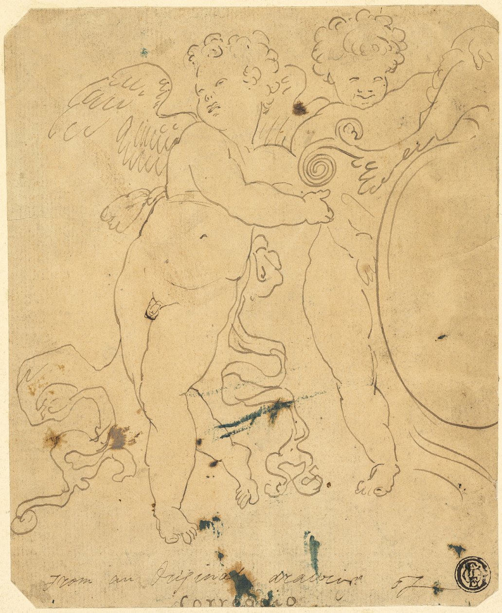 Putti se štítem od Unknown artist