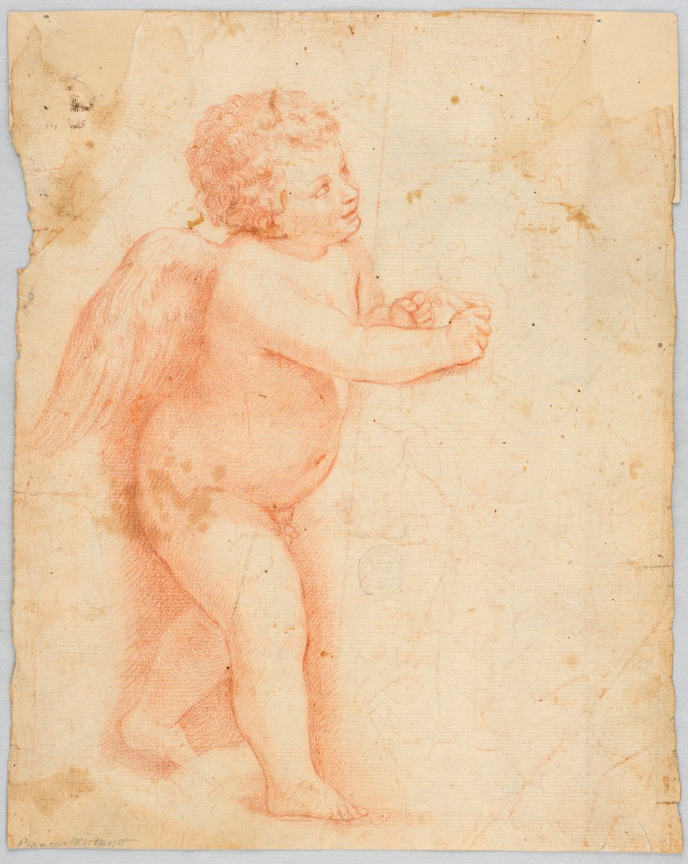 Putto dělání uzlu od Unknown artist