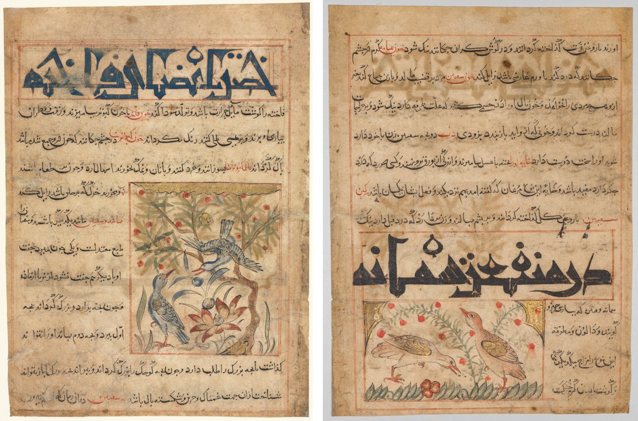 Vlastnosti Ringdoves (recto); O výhodách křepelek (verso), od perského Manafi‘ al-Hayawan (Prospěch zvířat) Abu Said Ubaid-Allah ibn Jibrail ibn Bakhtishu (zemřel 1058–68) od Unknown artist