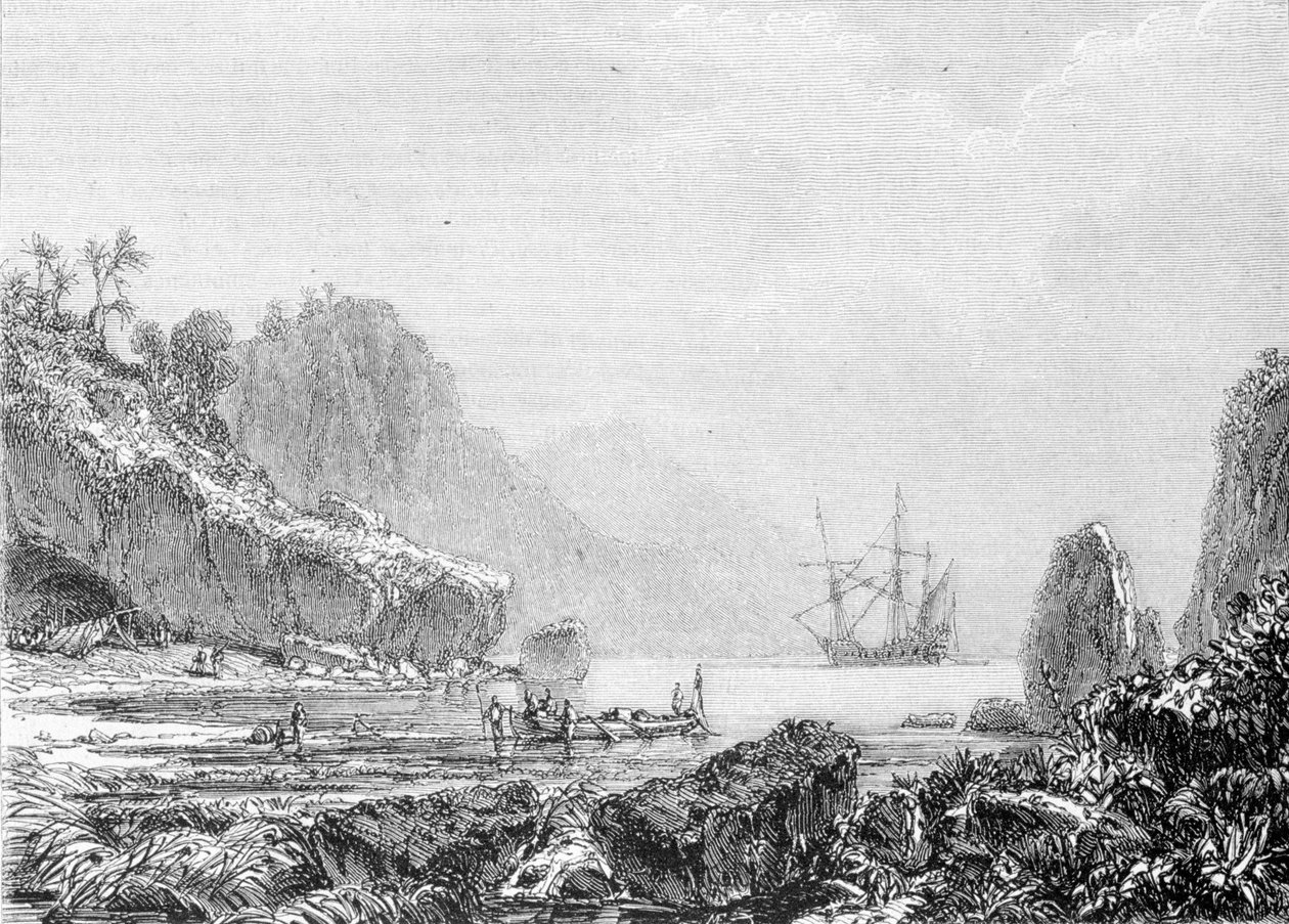 Zastoupení Želvího ostrova. Rytina 19. století. od Unknown artist