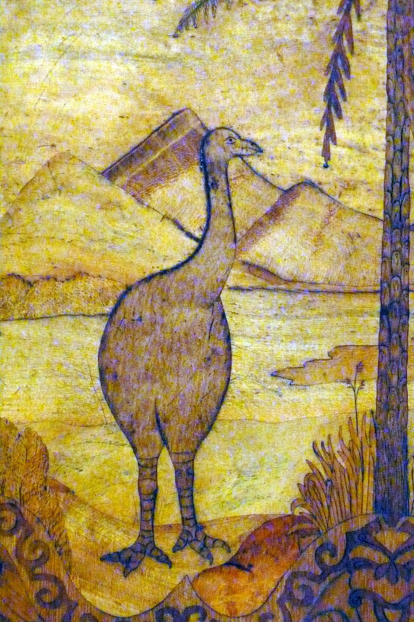 Představení Moa z Nového Zélandu, slabé plemeno obřího ptáka neschopného létat. 18. století od Unknown artist