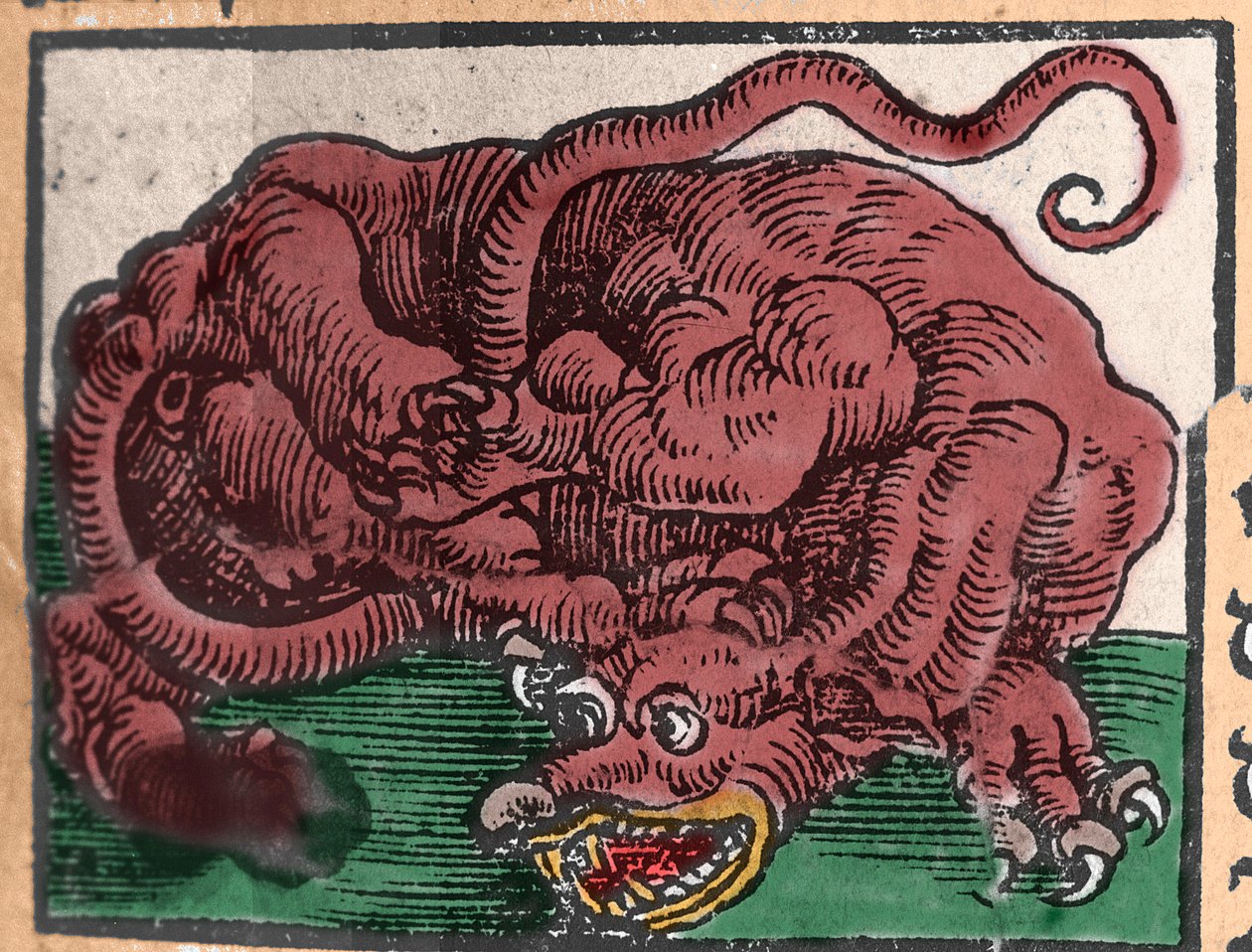 Znázornění draka. Rytina z „Den Ellen Strength Beste Fromen“ od Johanna Stumpffa. 1550 od Unknown artist