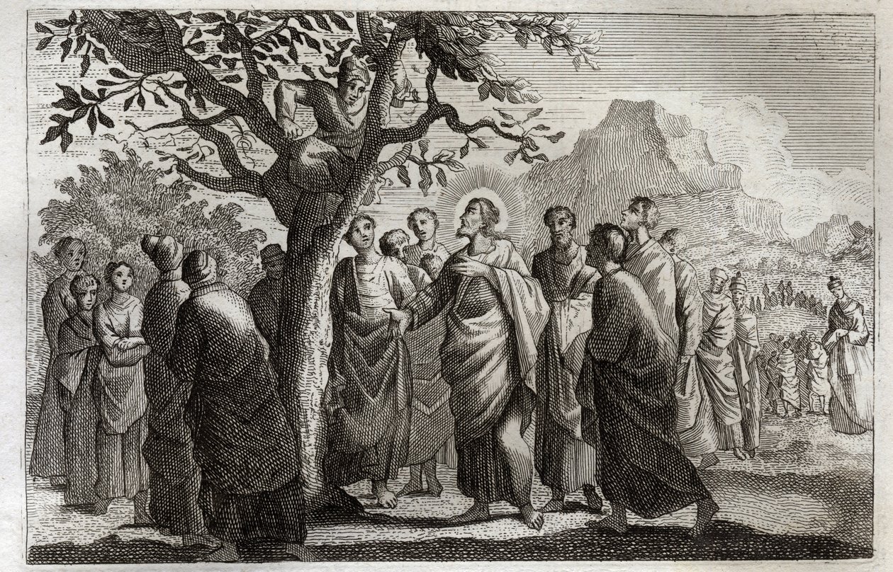 Royaumontská Bible, Nový zákon: Obrácení Zacheeho. Ježíš Kristus mluví se Zacheem na platanu. Ilustrace z roku 1811. od Unknown artist