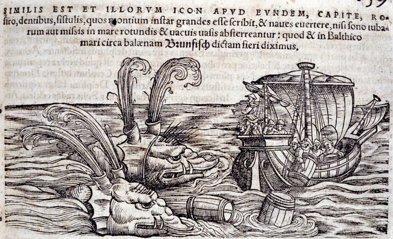 Námořníci házejí sudy do moře, aby odvrátili pozornost příšer při pronásledování. Rytina v „Historia Animalium“ od Conrada Gesnera (1516-1565), Tiguri od Unknown artist