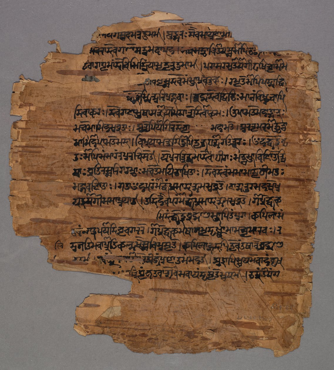 Sarada Script (?) od Unknown artist