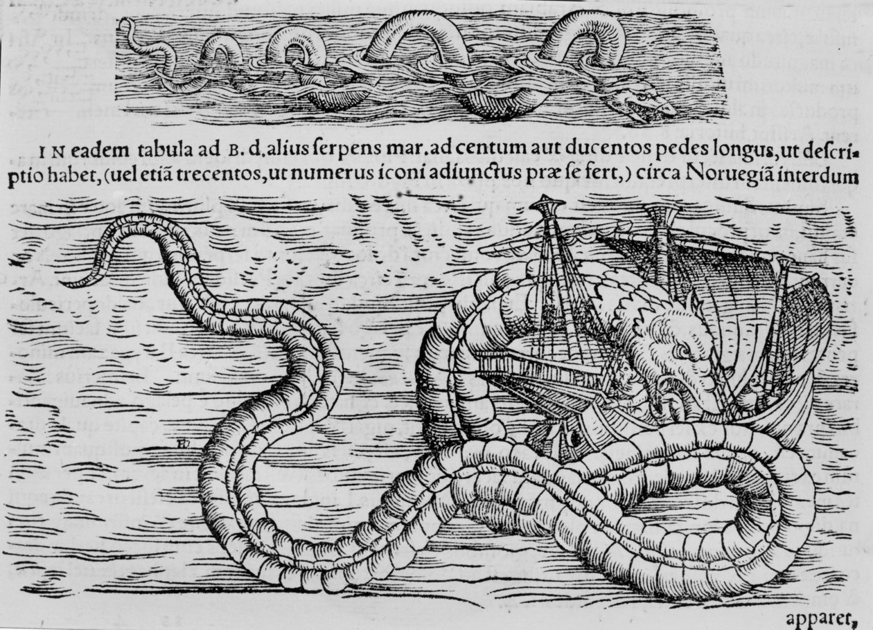 Mořský had, mořský tvor po Conradovi (= Konradovi) Gesnerovi od Unknown artist