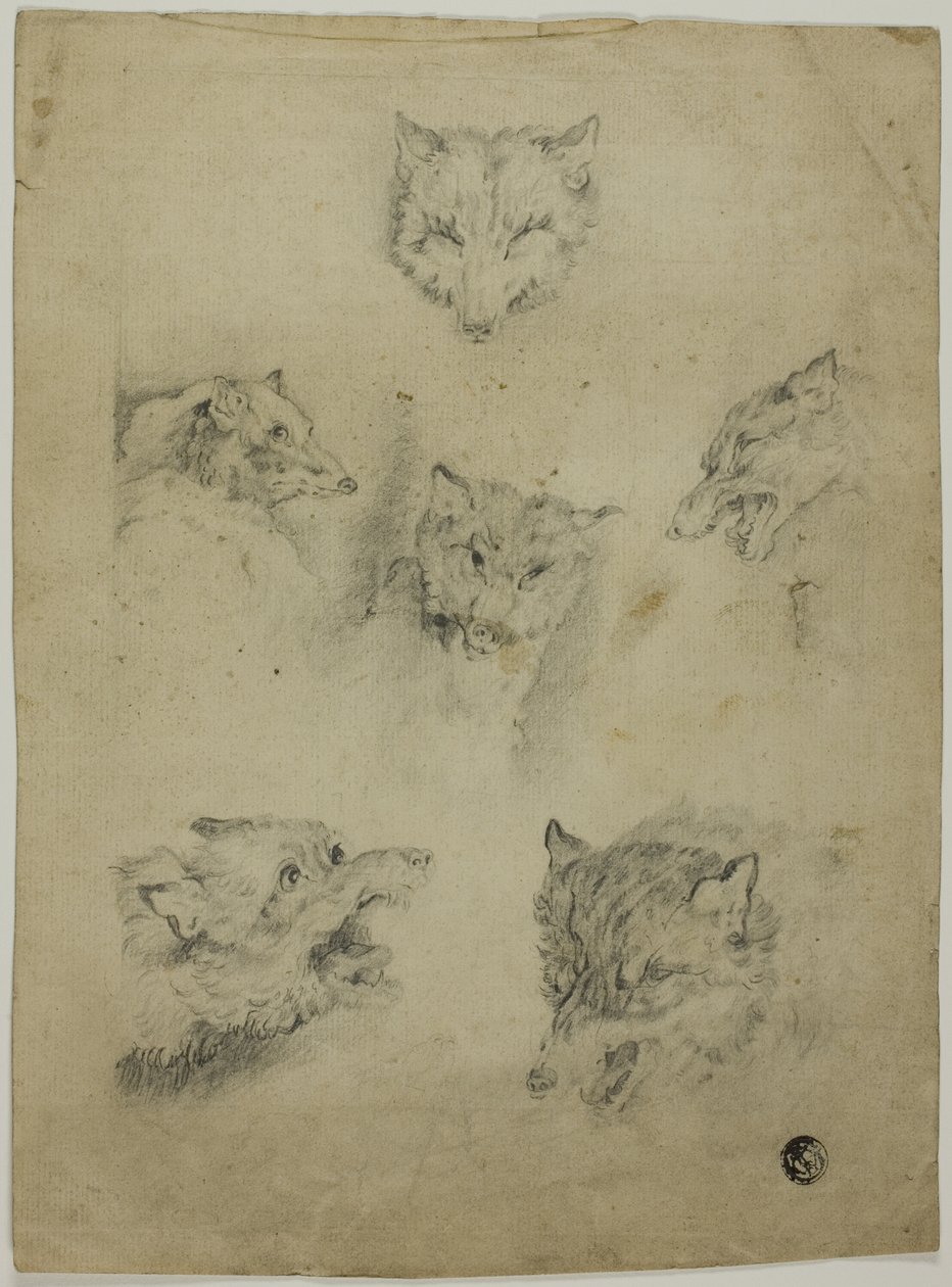Šest náčrtů vlčích hlav od Unknown artist