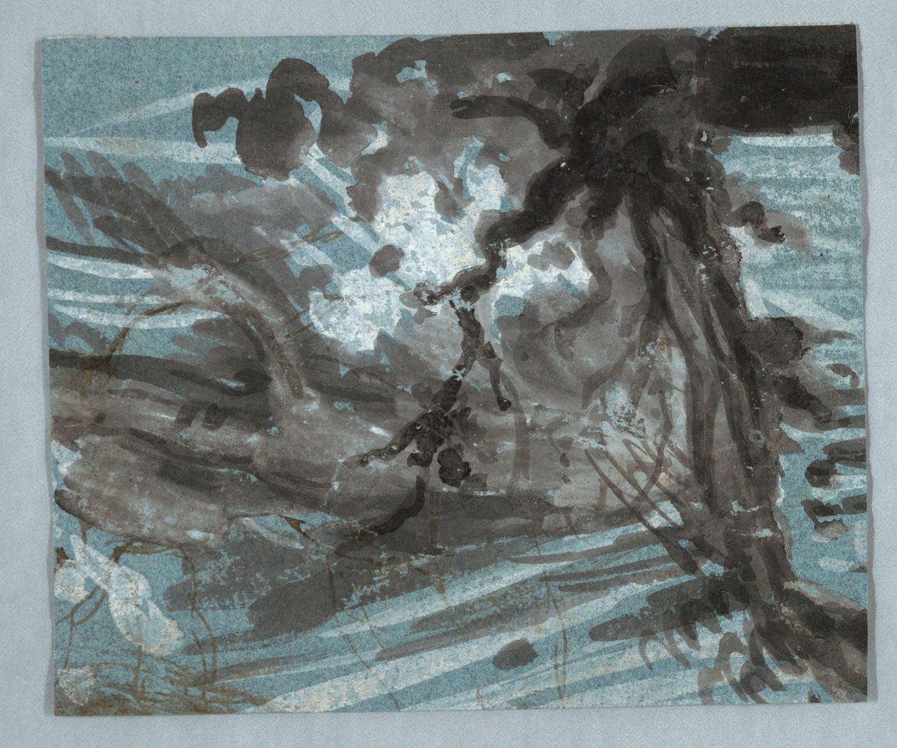 Náčrt stromu od Unknown artist
