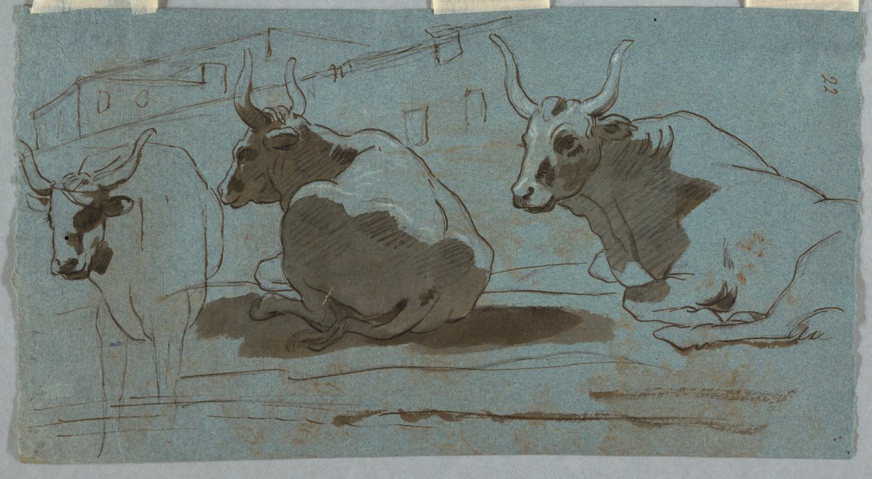 Náčrtky býků od Unknown artist