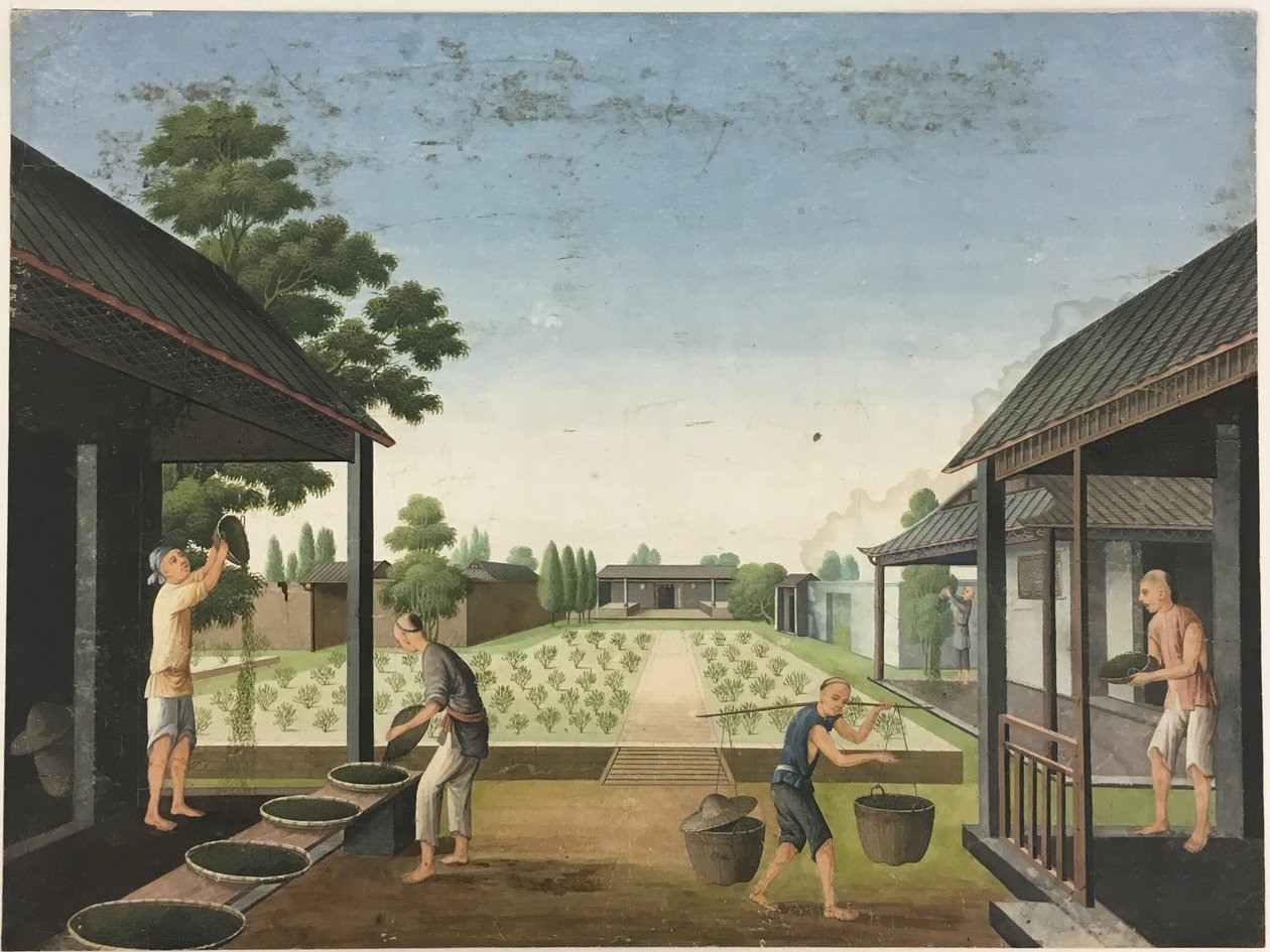 Spřádání látek, Příprava čajových lístků, Příprava hedvábí od Unknown artist