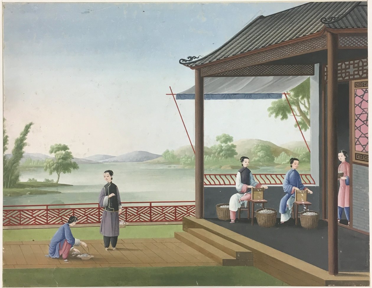 Spřádání látek, Příprava čajových lístků, Příprava hedvábí od Unknown artist