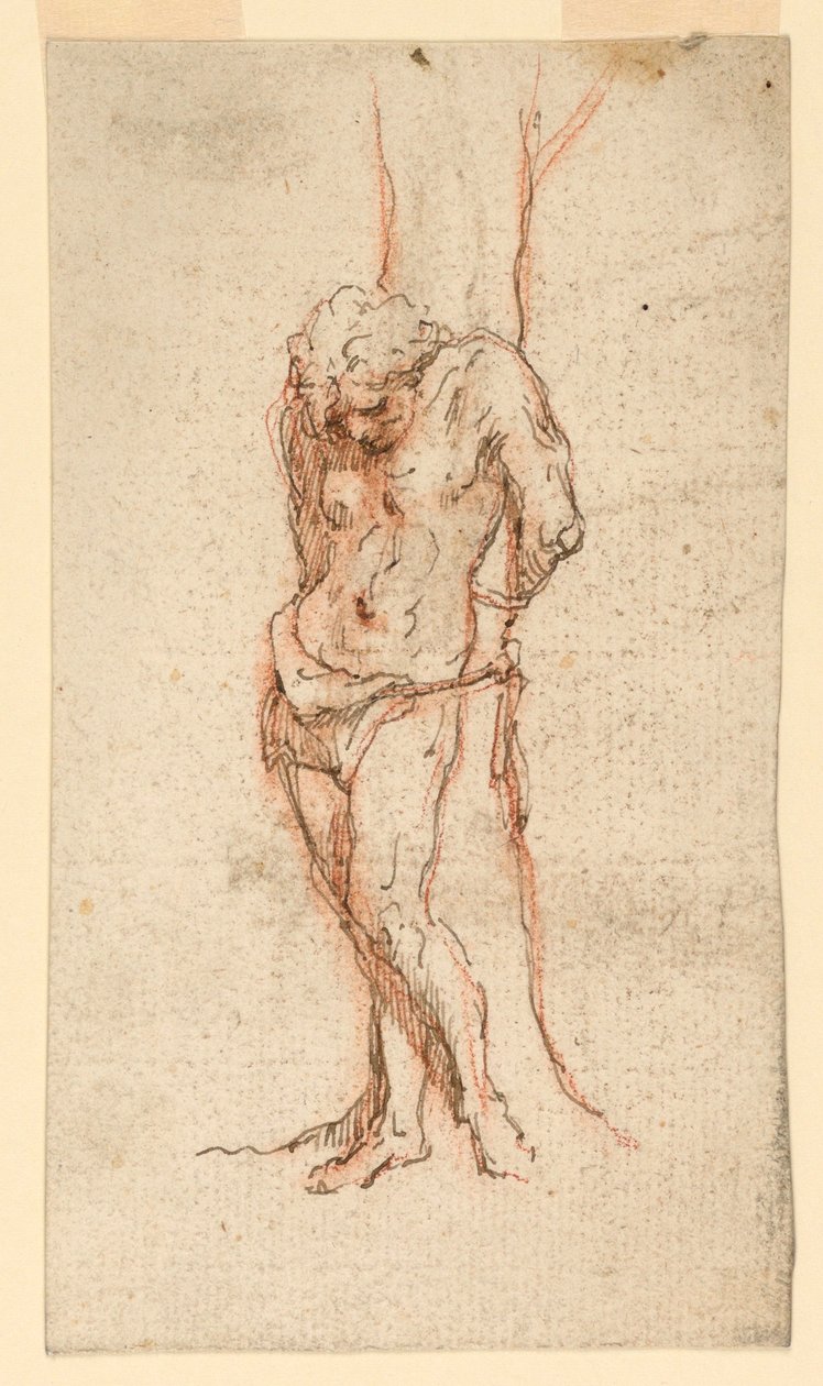 Svatý Sebastian připoutaný ke stromu od Unknown artist