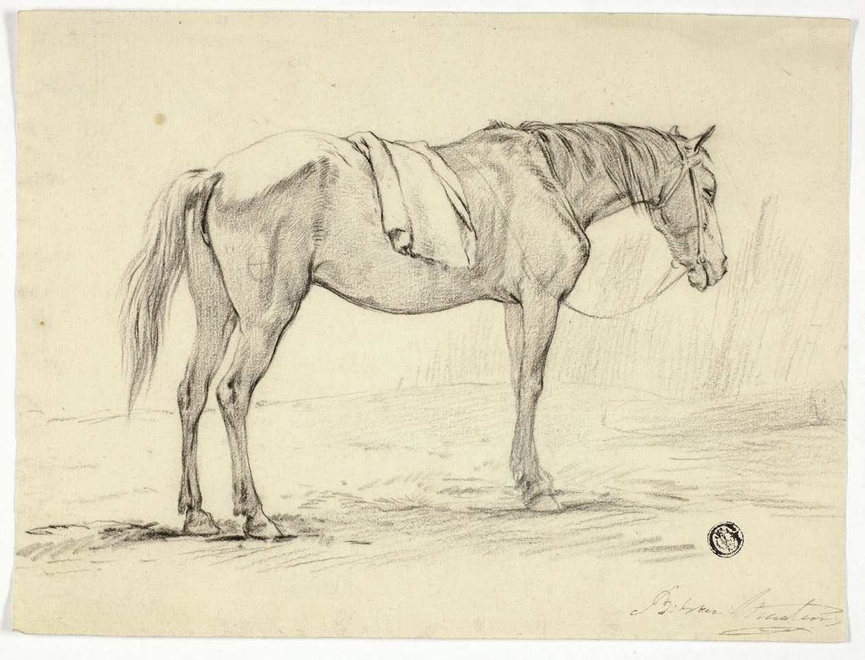 Stojící kůň od Unknown artist