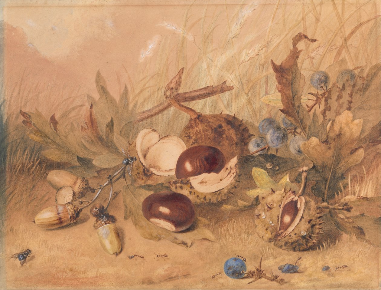 Zátiší s žaludy a koňskými kaštany od Unknown artist
