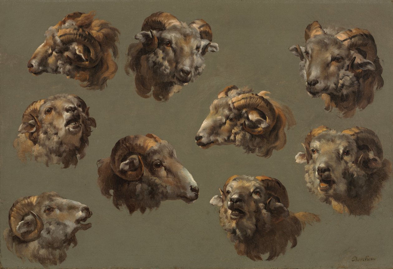 Studie beraních hlav od Unknown artist