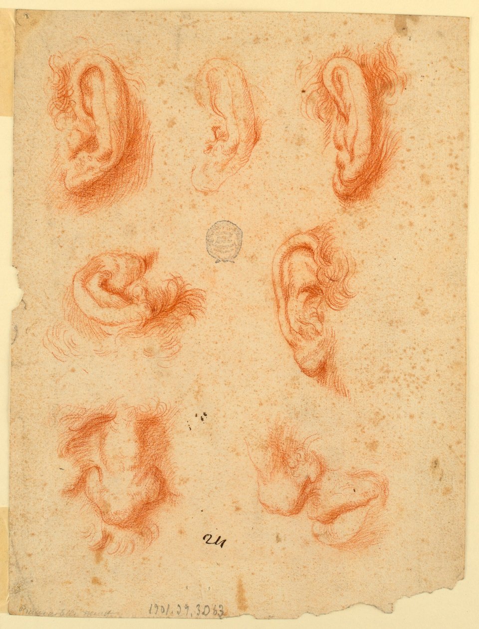 Studie pěti uší, nosů a úst od Unknown artist