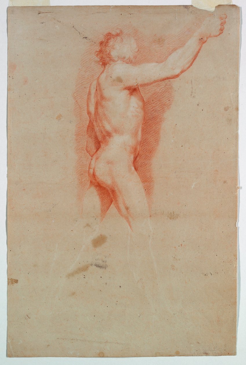 Studie: Nahá od Unknown artist