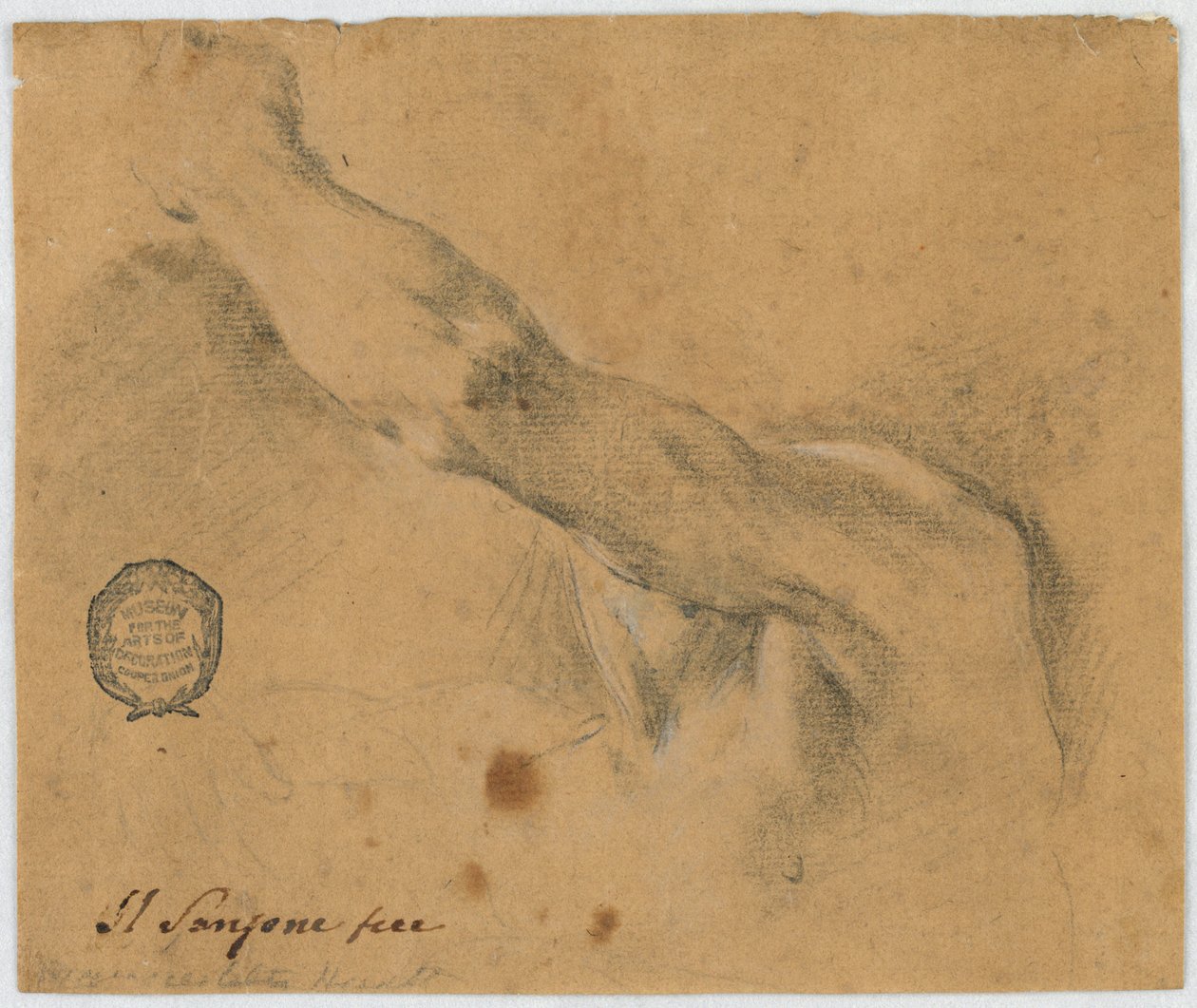 Studie: Levá paže a sousední části těla staršího muže od Unknown artist
