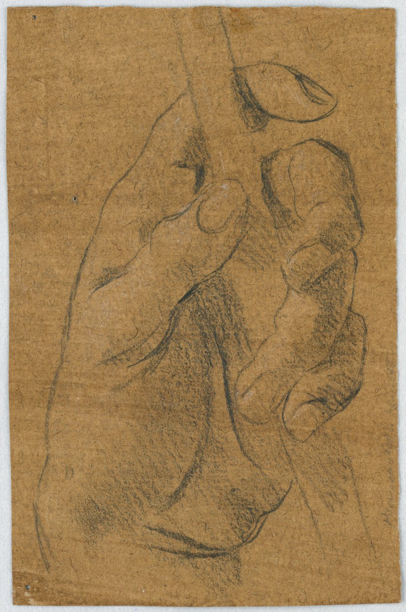 Studie: Levá ruka muže s holí od Unknown artist
