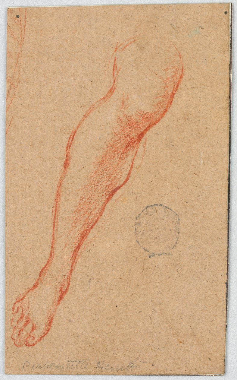 Studie pro pravou nohu sedící ženy od Unknown artist