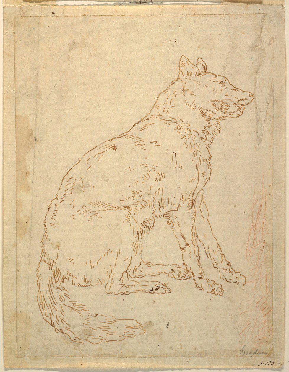 Studie ovčáckého psa od Unknown artist