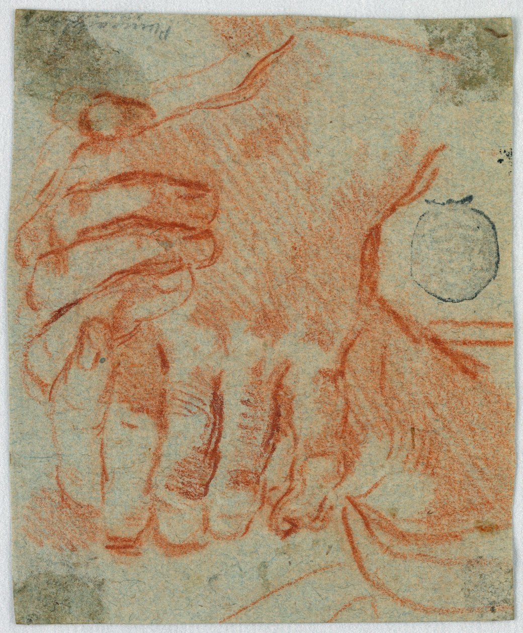 Studie sevřených rukou ženy od Unknown artist