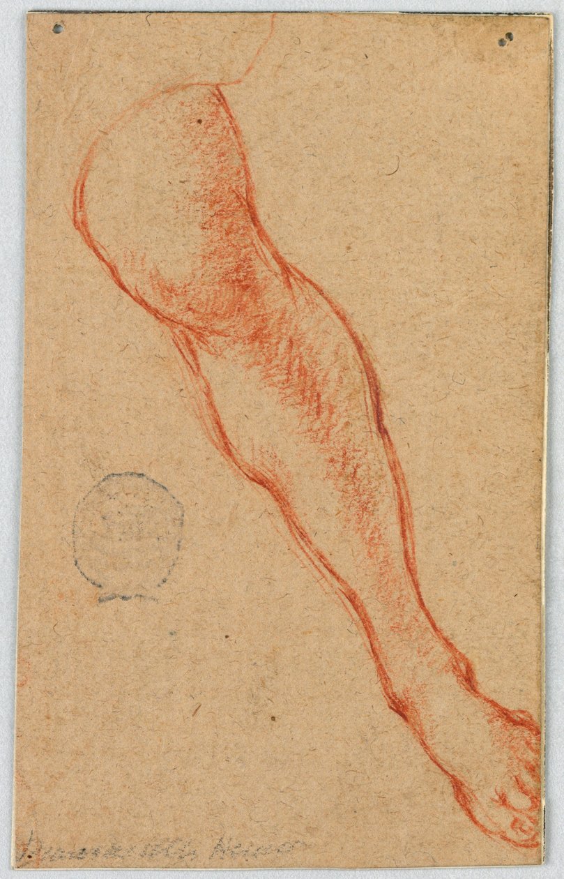 Studie levé nohy sedící ženy od Unknown artist