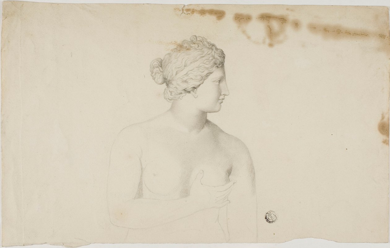 Studium Medicejské Venuše od Unknown artist