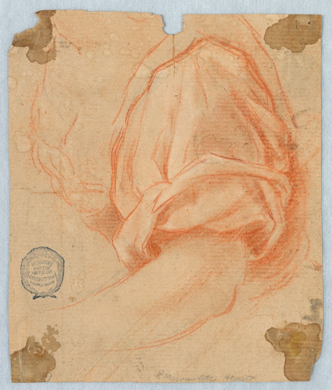 Studie horní části levé paže muže od Unknown artist