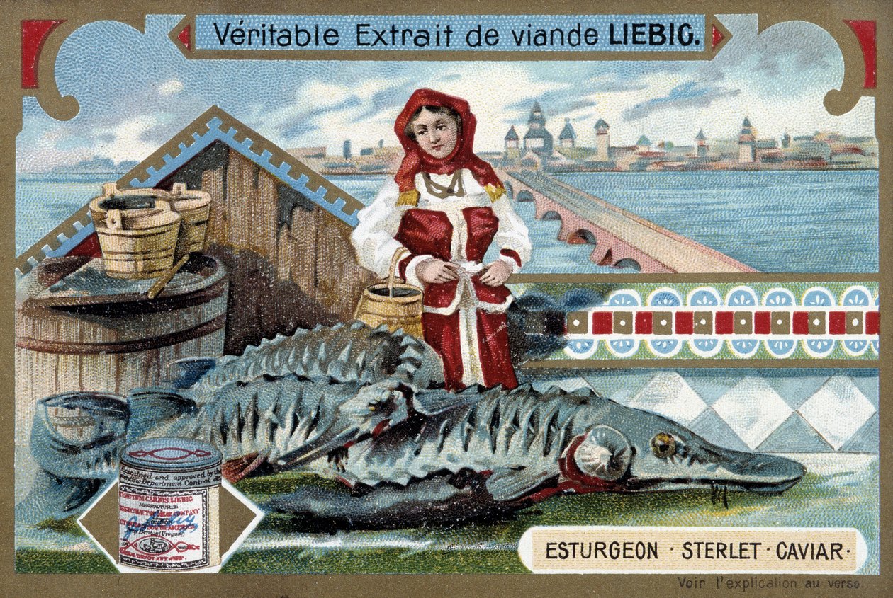 Jeseter, jeseter, kaviár, s mladou ženou držící kbelíky, před ruským městem - Liebigova chromolitografie od Unknown artist
