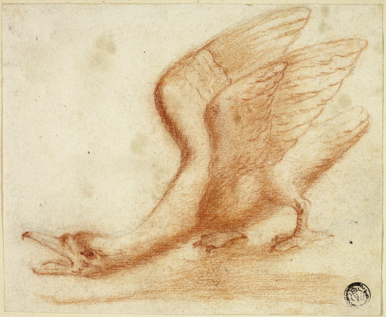 Labuť od Unknown artist