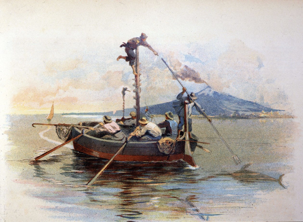 Lov mečounů na harpunu v Detroitu Messina na Sicílii. Akvarel 1898 od Unknown artist