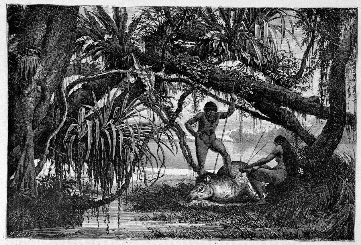 Tapír zabitý indiány z Brazílie - v "" Kolem světa "" 2. semestr 1874. od Unknown artist