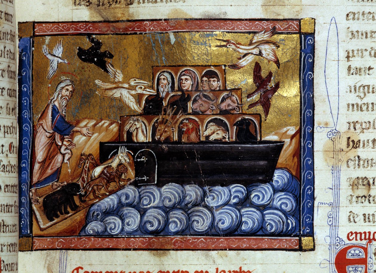 Miniatura Archa Noe z rukopisu „Univerzální historie““ 13. století. Městská knihovna Dijon od Unknown artist