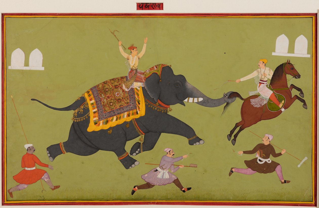 Slon z Maharany Jai Singh z Mewar (r. 1680–98) chytá koně za ocas od Unknown artist