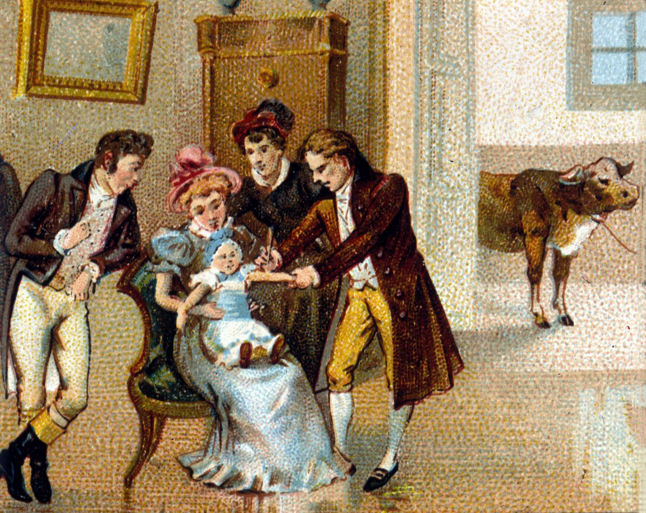Anglický lékař Edouard Jenner (1749-1823) naočkuje nové neštovice na paži, aby ho očkoval. Kráva, které bylo sérum odebráno, je dole. chromolitografie z 19. století. od Unknown artist