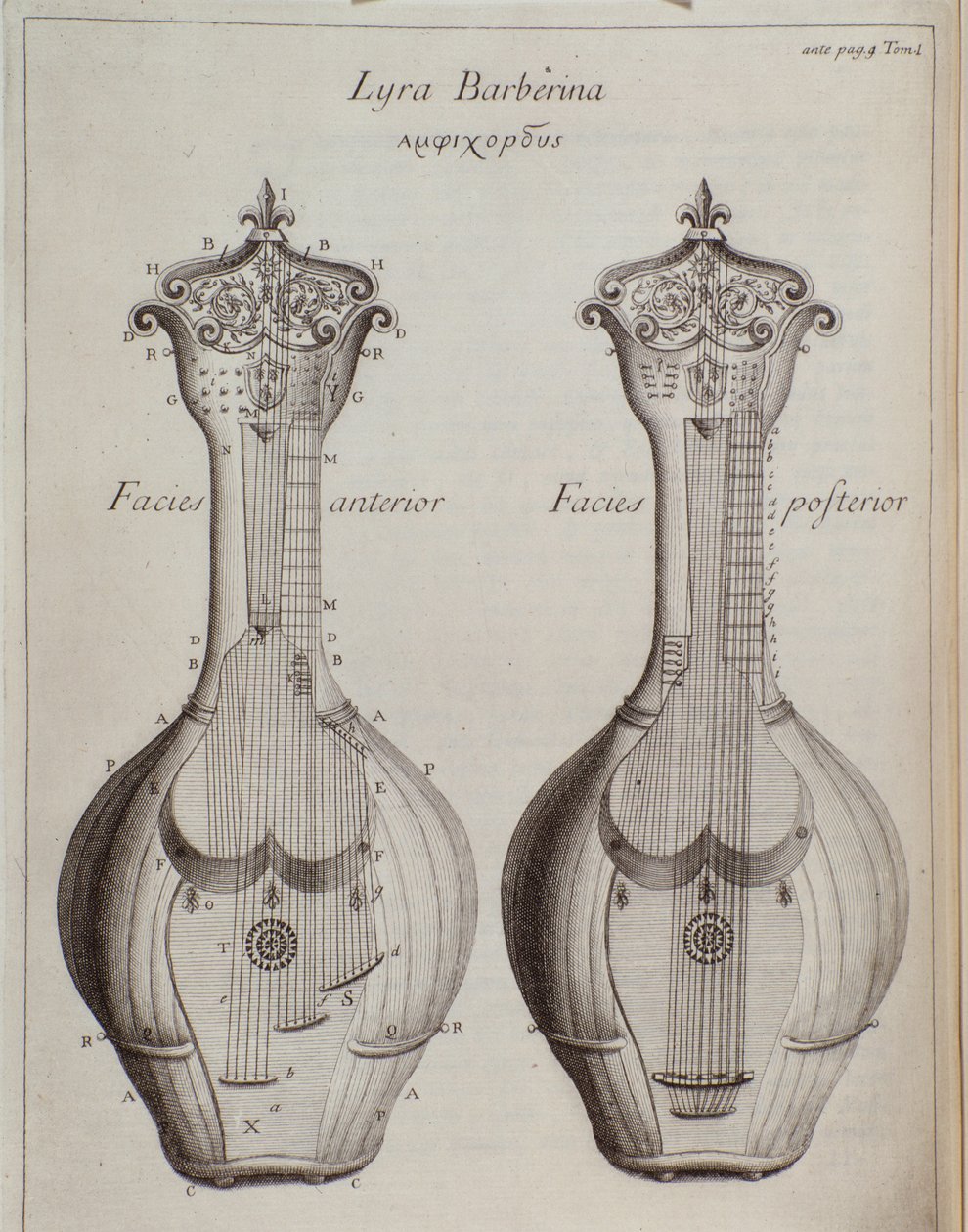 Lyra Barberina (rytina od Unknown artist